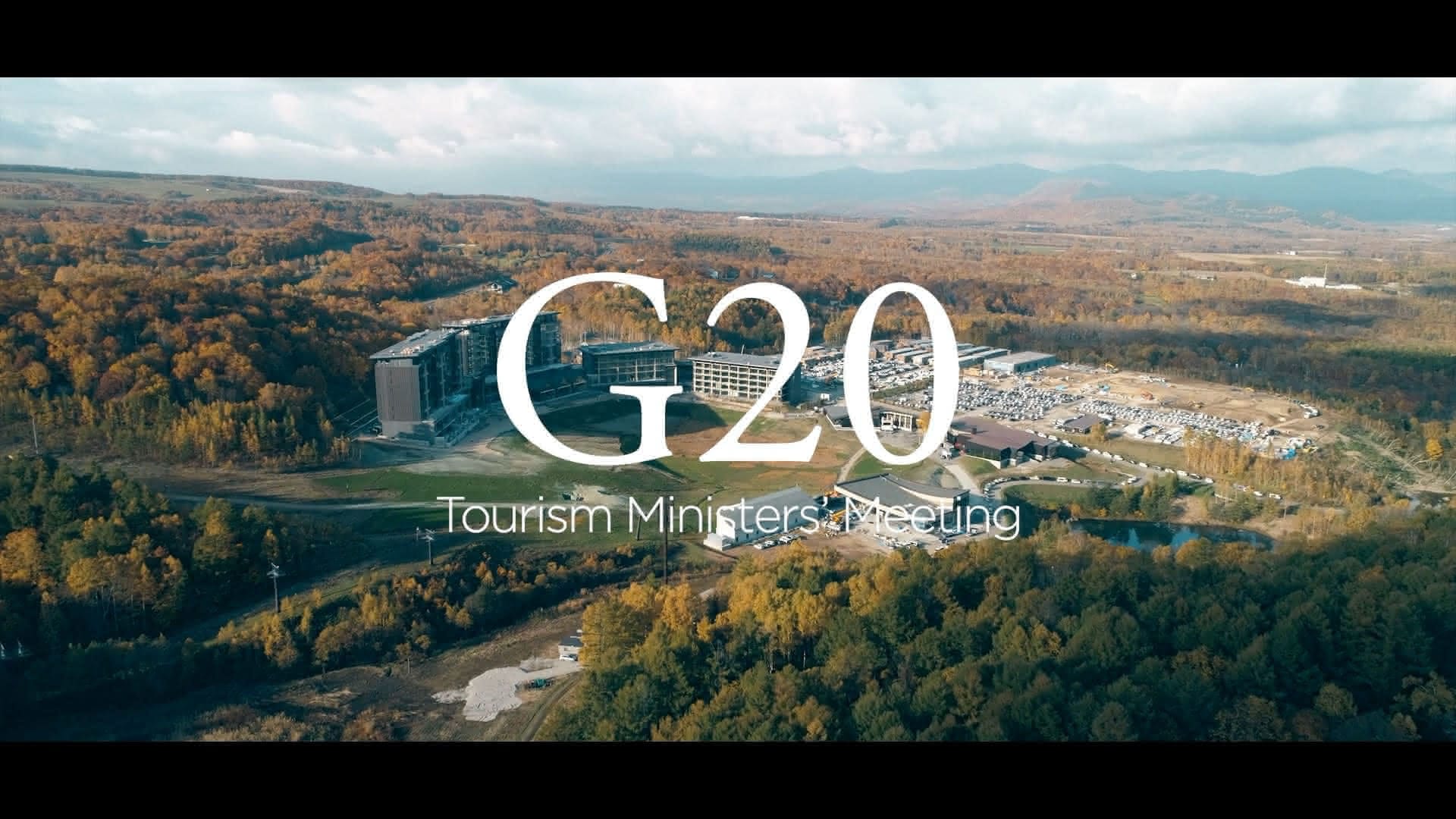 G20